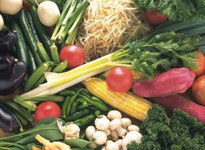 蔬菜价格加速回落，猪肉价格平稳——食用农产品批发市场动态分析