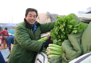 我国食用农产品价格呈现小幅上涨态势