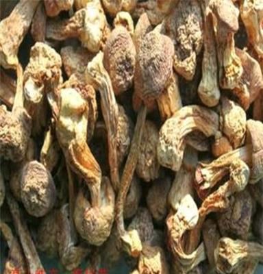 农家高山珍品 姬松茸干货批发全攻略