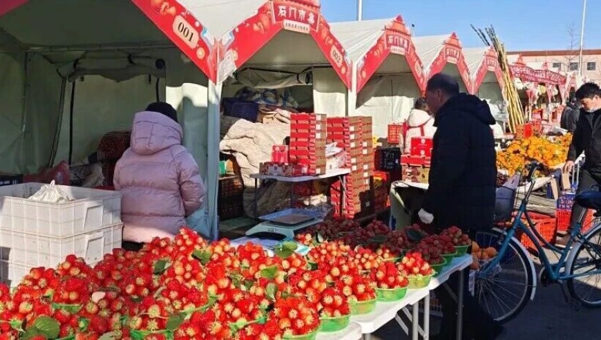 食用农产品批发环节进货查验操作指南