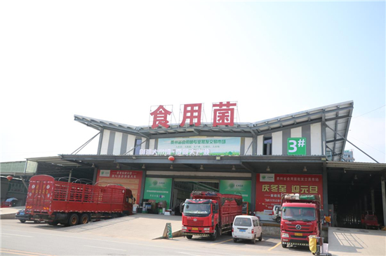贵州省食用菌专业批发交易市场招商政策